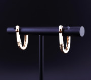 Kuldkõrvarõngad tsirkoonidega