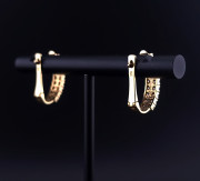 Kuldkõrvarõngad tsirkoonidega