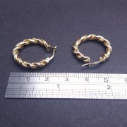 Gold earrings 