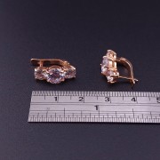 Gold earrings with zircons 