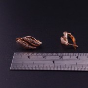 Gold earrings with zircons 