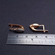 Gold earrings