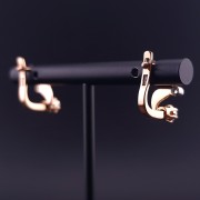 Gold earrings with zircons 
