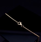 Gold  leg chain