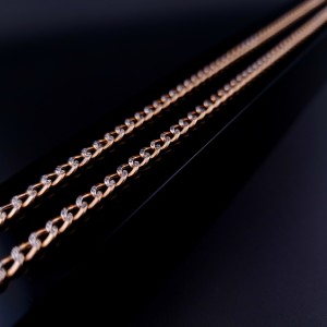 Gold chain “Armor“