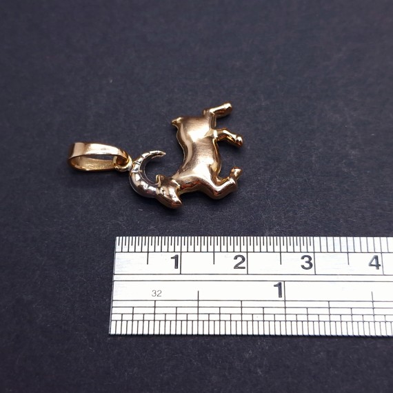 Gold Pendant "Capricorn"