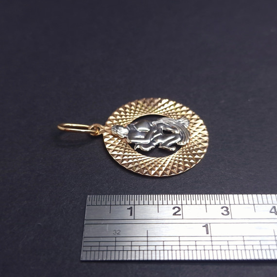 Gold Pendant "Aquarius"