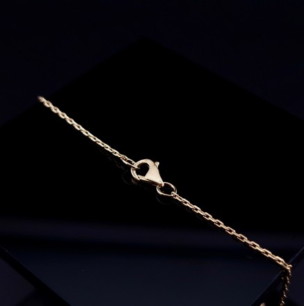 Gold  leg chain