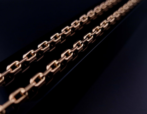 Gold chain “Anchor“
